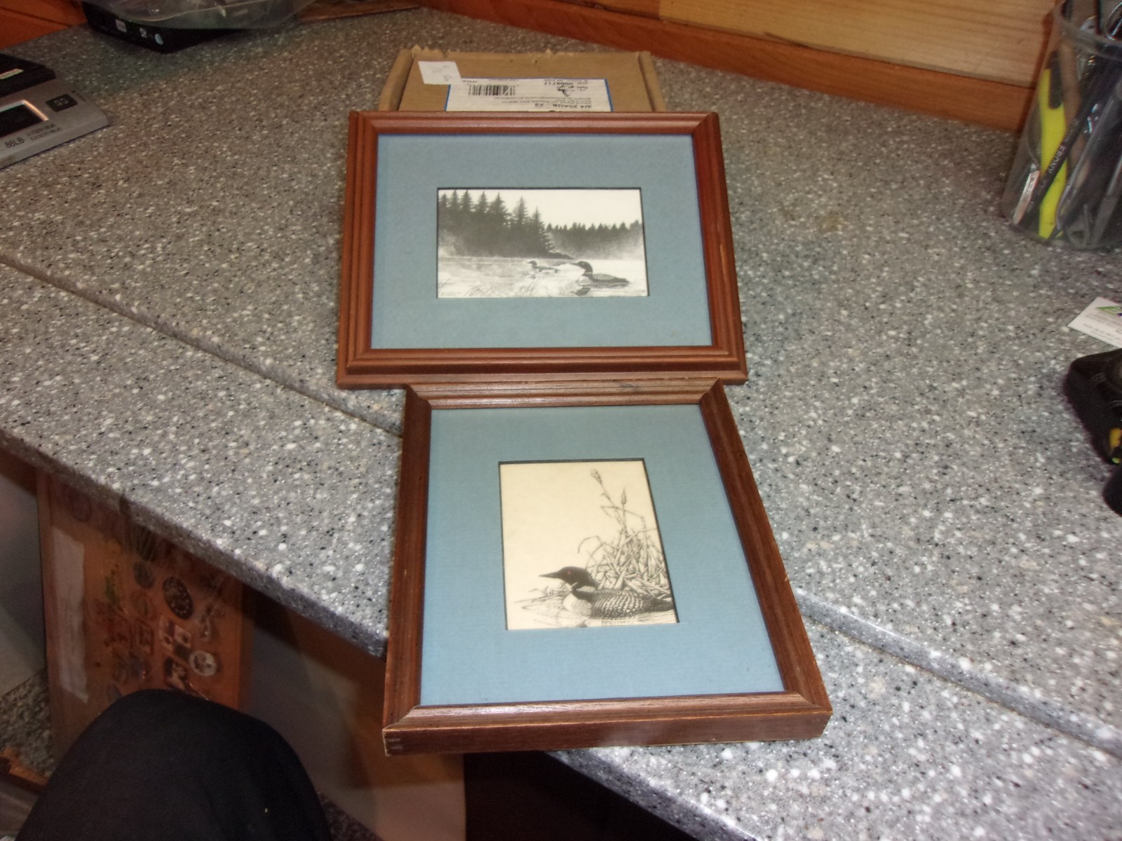 T374 vintage loon print pair Bastianson 