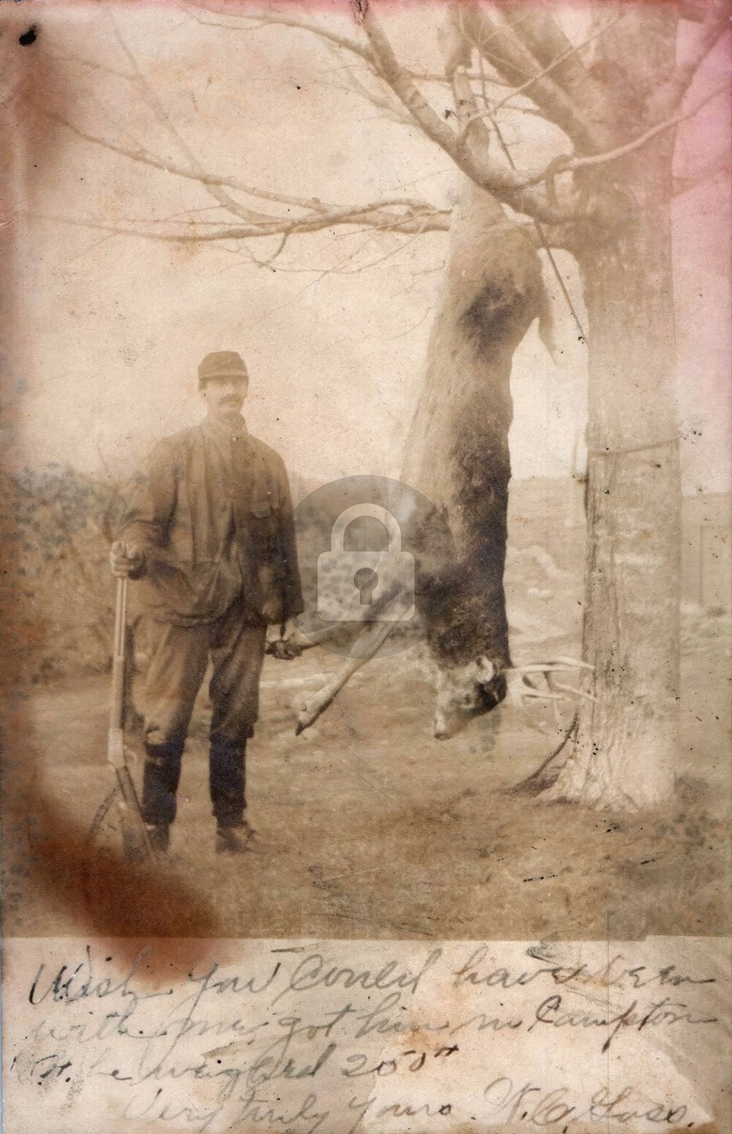 c1910s Man Deer Hunting Henniker New Hampshire NH RPPC Photo Postcard COPY c1910s Man Deer Hunting Henniker New Hampshire NH RPPC Photo Postcard COPY
