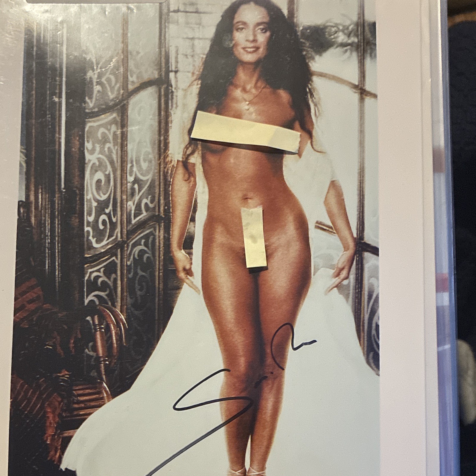 Sonia Braga Signed Autograph 8x10 Gloss Photo Sonia Braga Signed Autograph 8x10 Gloss Photo