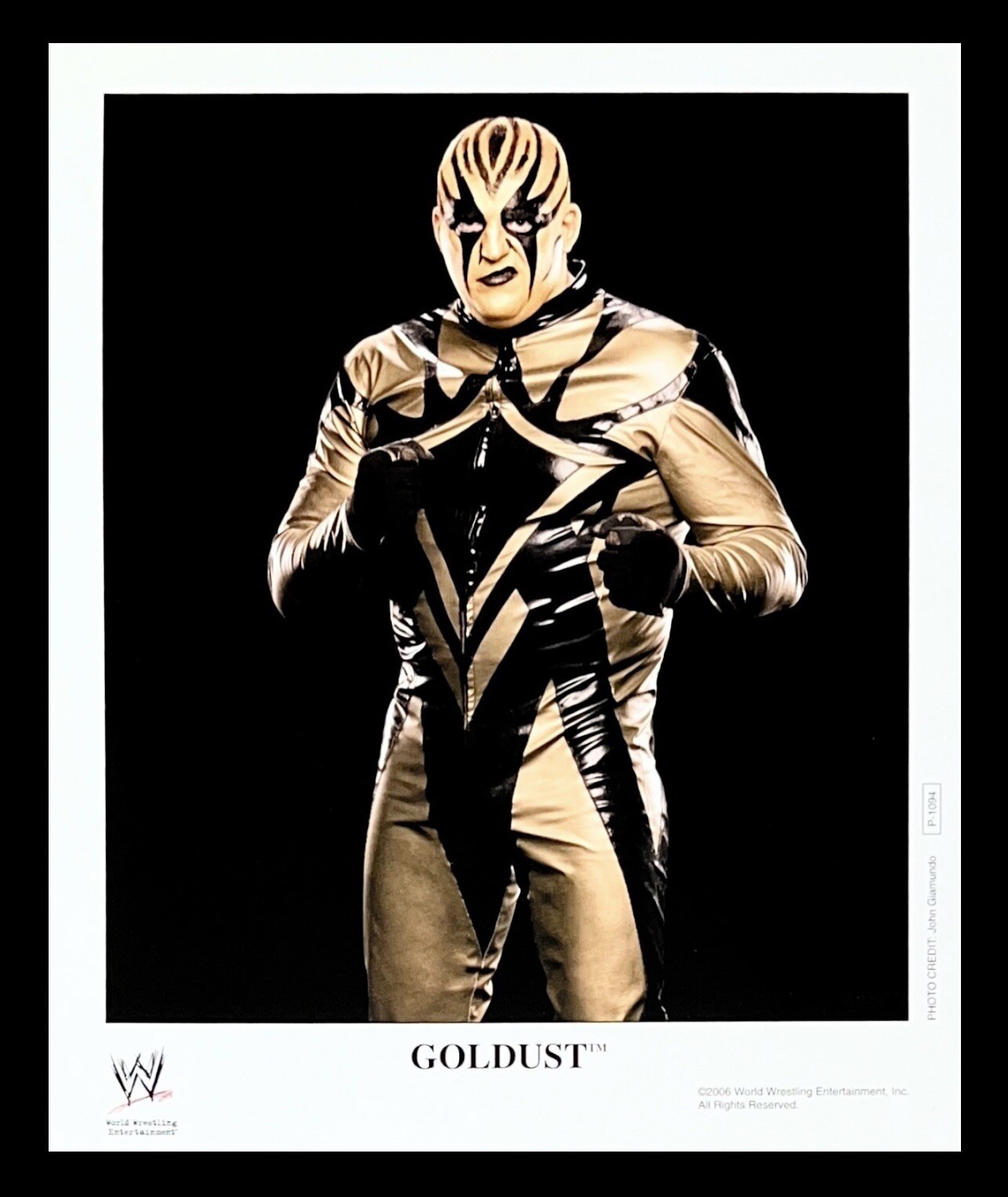 WWE GOLDUST P-1094 OFFICIAL LICENSED 8X10 ORIGINAL PROMO PHOTO FROM 2006 RARE