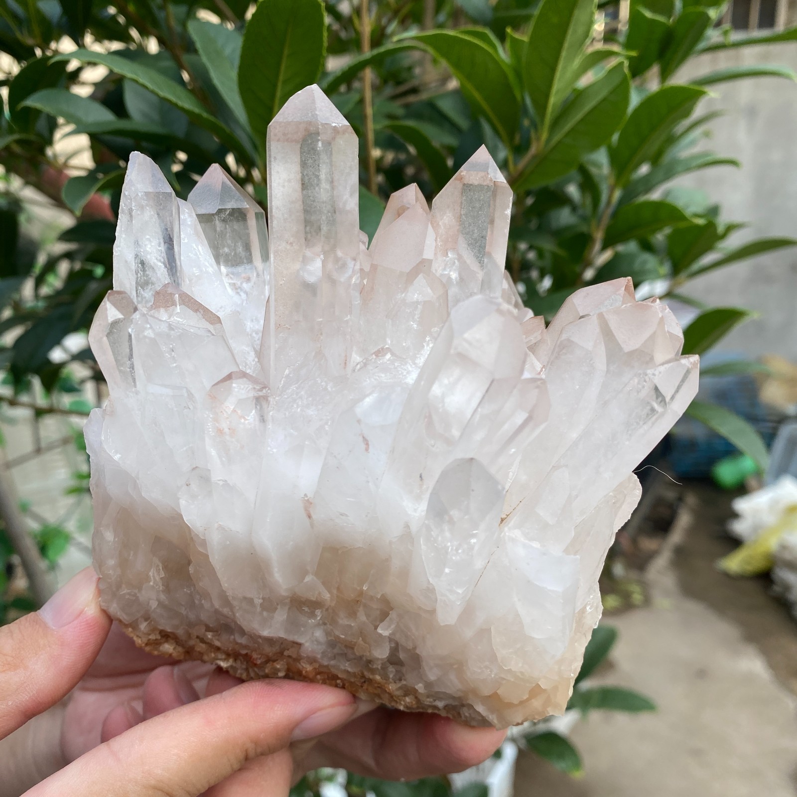 2.6lb Natural Clear White Crystal Quartz Cluster Rough Healing Specimen