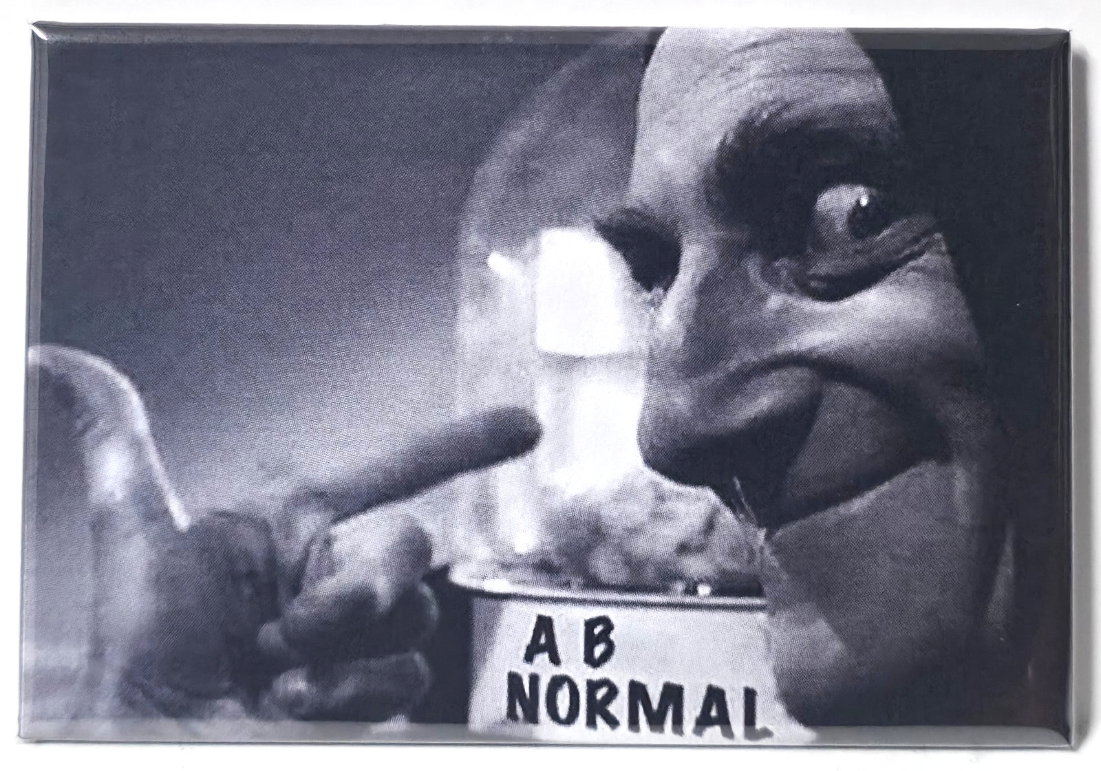 Young Frankenstein MAGNET 2