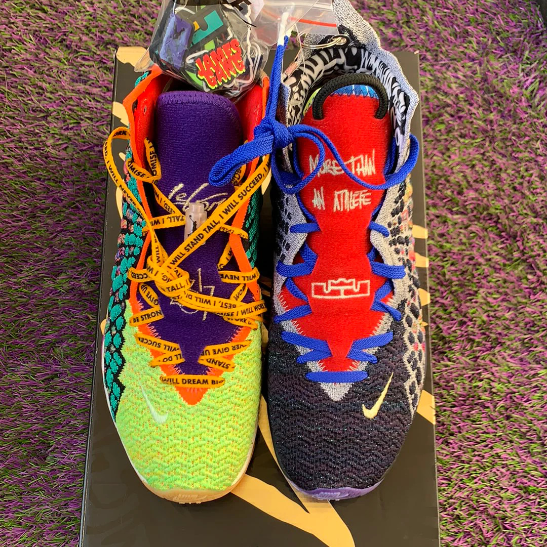 Nike LeBron XVII WTW What The Men\'s Size 9.5 DS New Nike LeBron XVII WTW What The Men\'s Size 9.5 DS New