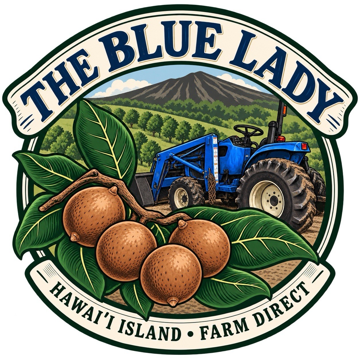 5 lbs Macadamia Nuts. People and Birds favorite nut Harvested and Shipped Daily
