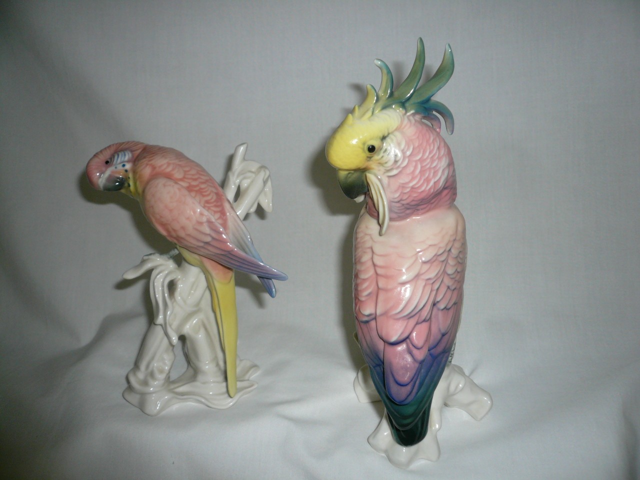 STUNNING KARL ENS PINK BLUE YELLOW BUDGERIGAR & COCKATOO BRILLIANT COLORS