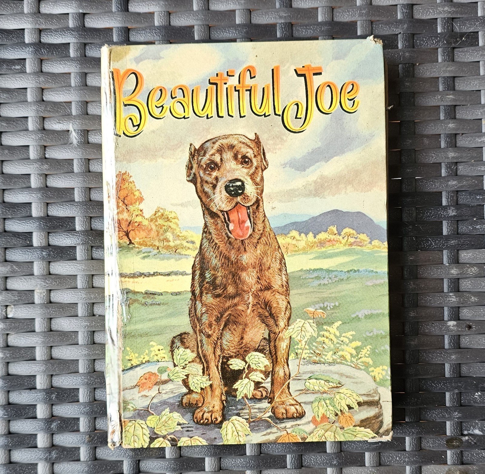 Beautiful Joe 1955 Hardcover Book By Marshall Saunders Beautiful Joe 1955 Hardcover Book By Marshall Saunders