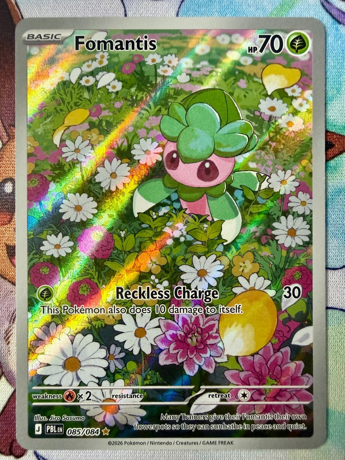 Fomantis 085/084 Me05: Pitch Black Holo Pokemon NM