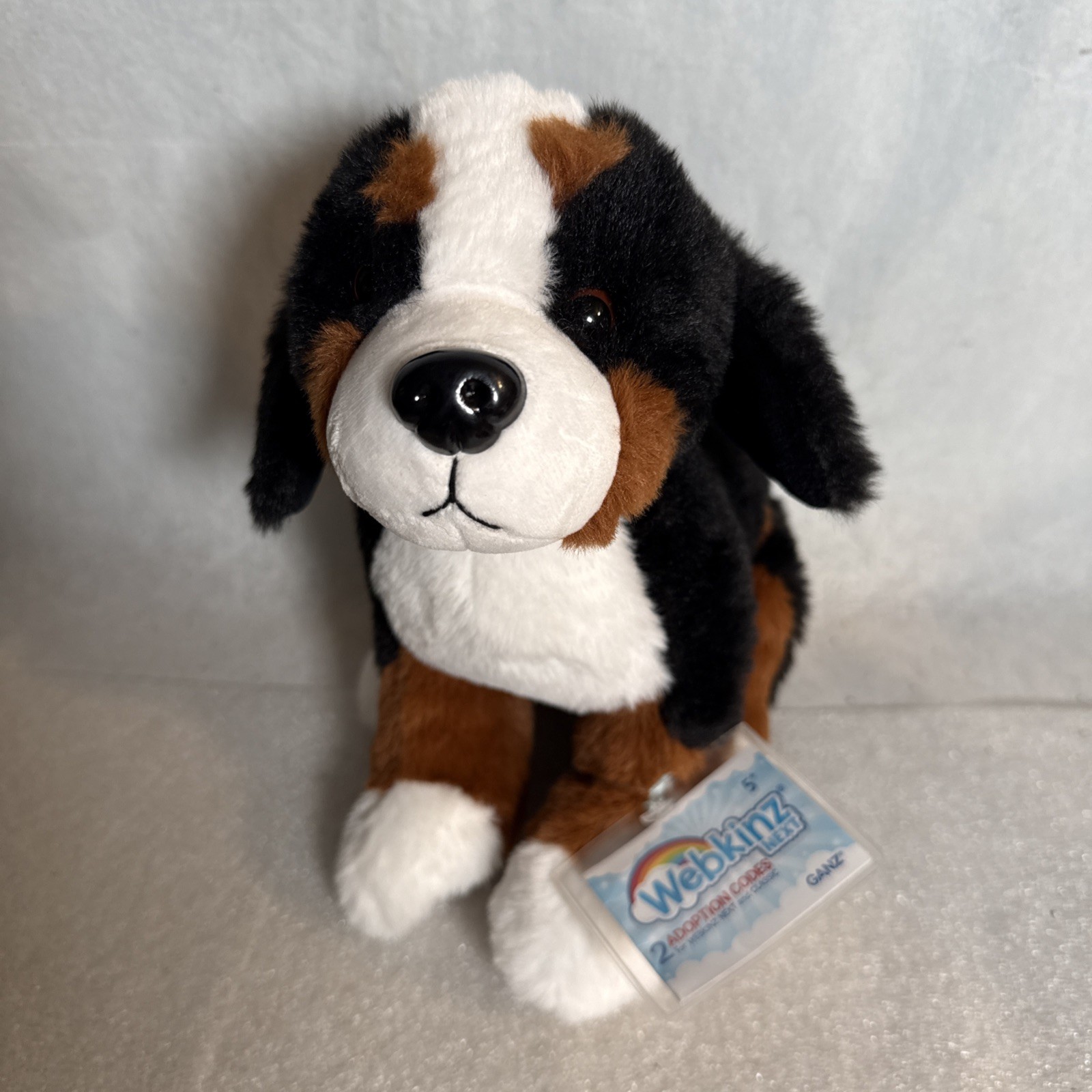 Ganz 2025 Webkinz Next Bernese Mountain Dog NEW WK00025 2 Codes Gen3 \