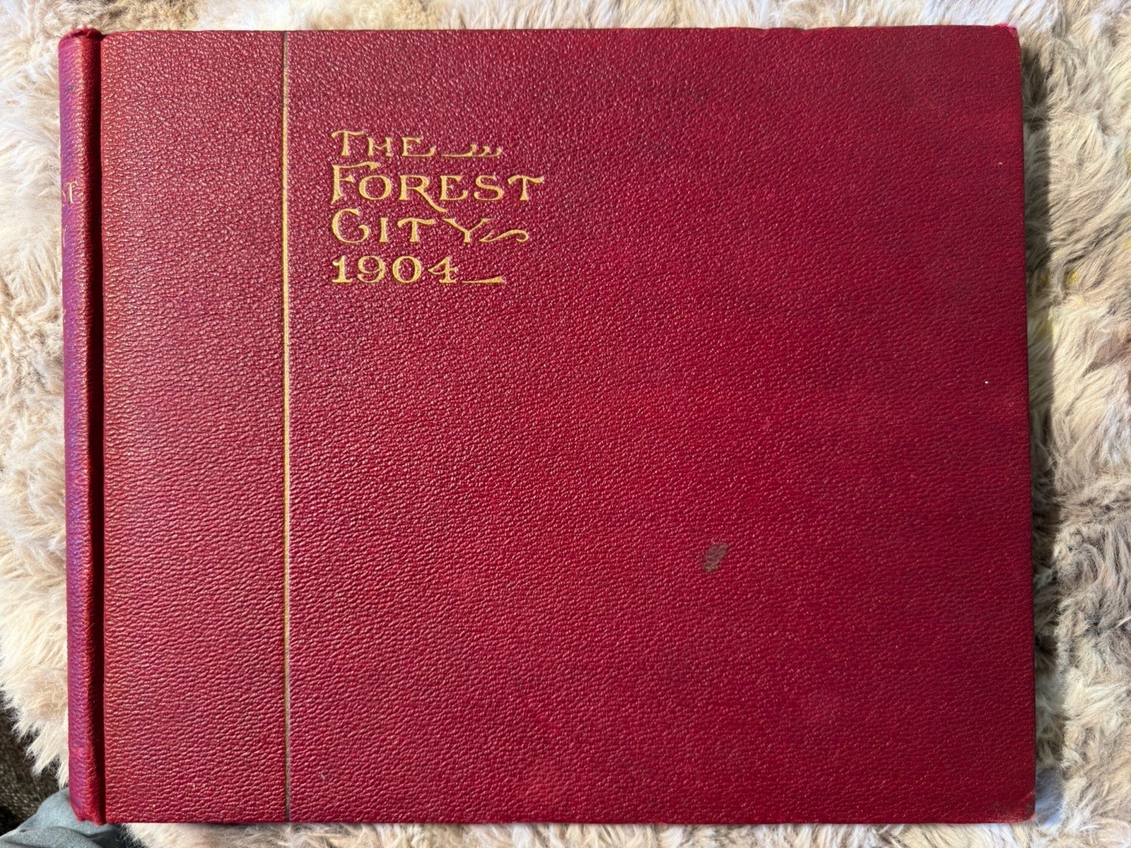 1904 The Forest City St Louis World’s Fair Photo Book Walter B Stevens US