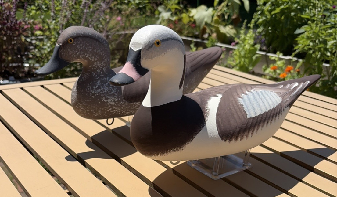 Vintage Captain Harry Jobes Old Squaw Pair Hand Painted Decoy Signed
