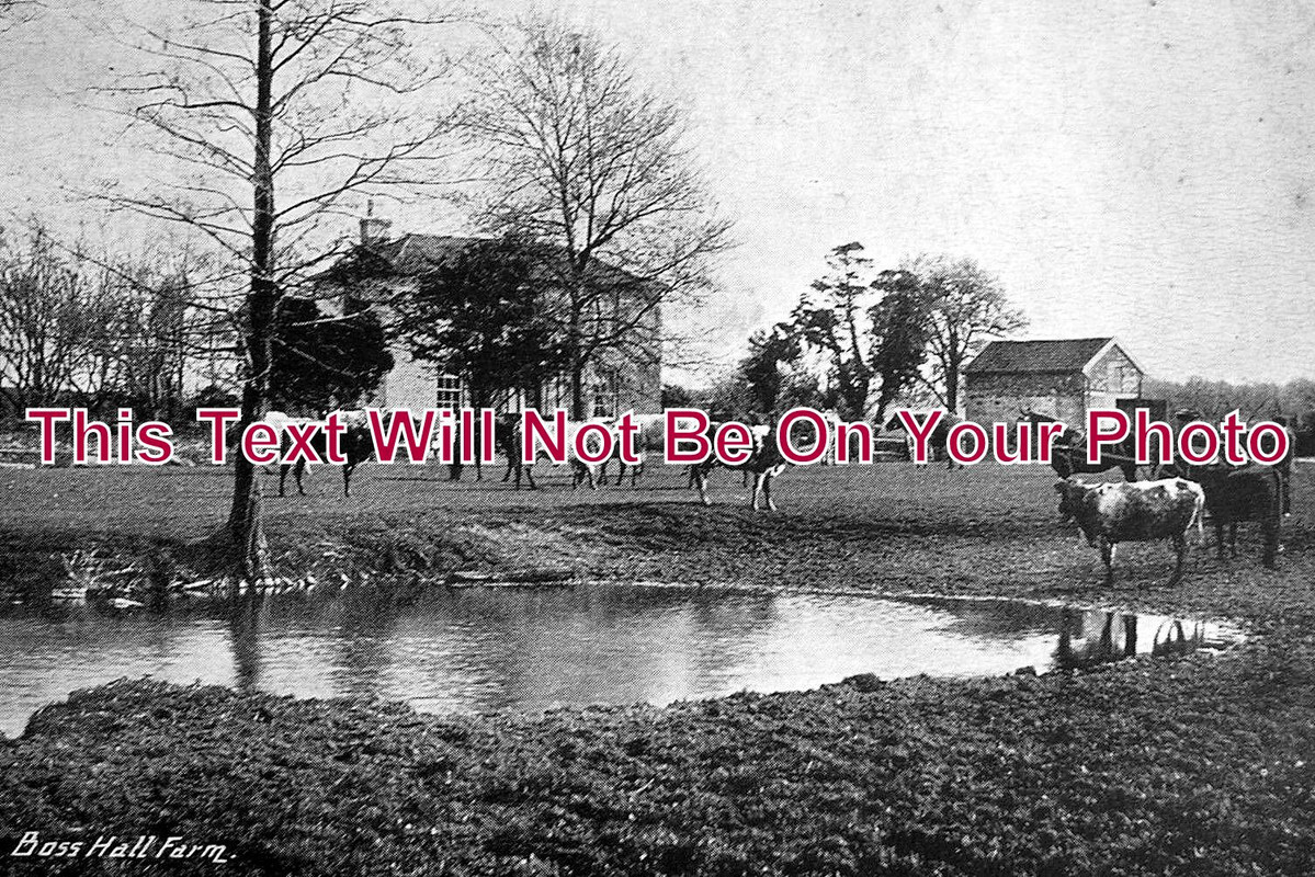 SF 544 - Boss Hall Farm, Sproughton Road, Ipswich, Suffolk c1905