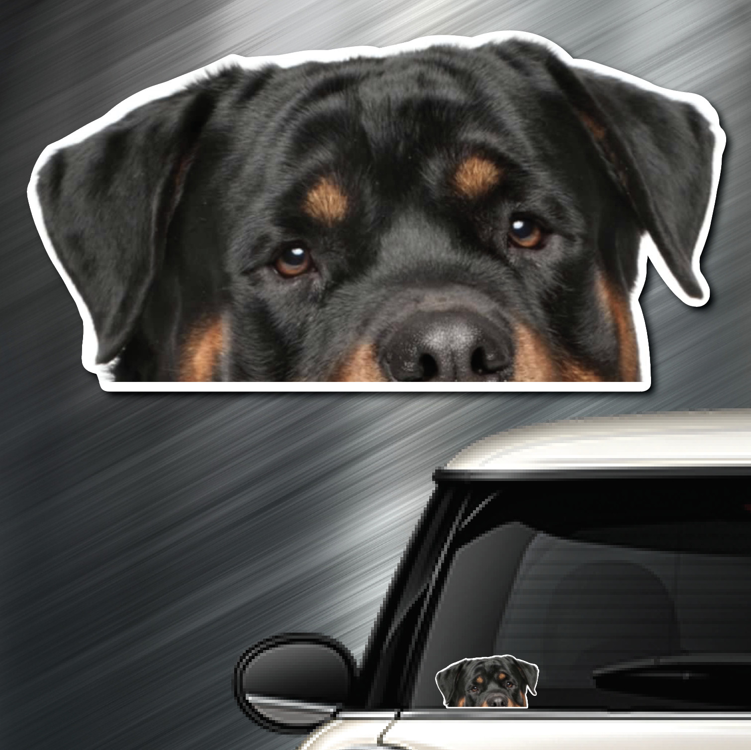 (1) Rottweiler DOG Peeper Sticker Window Peep Decal Car Auto AKC Puppy 3.5x6.75