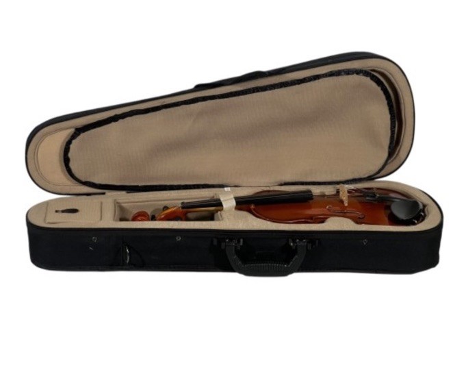 Palatino VN-350 Student Violin Hand Crafted Violin W/ Case