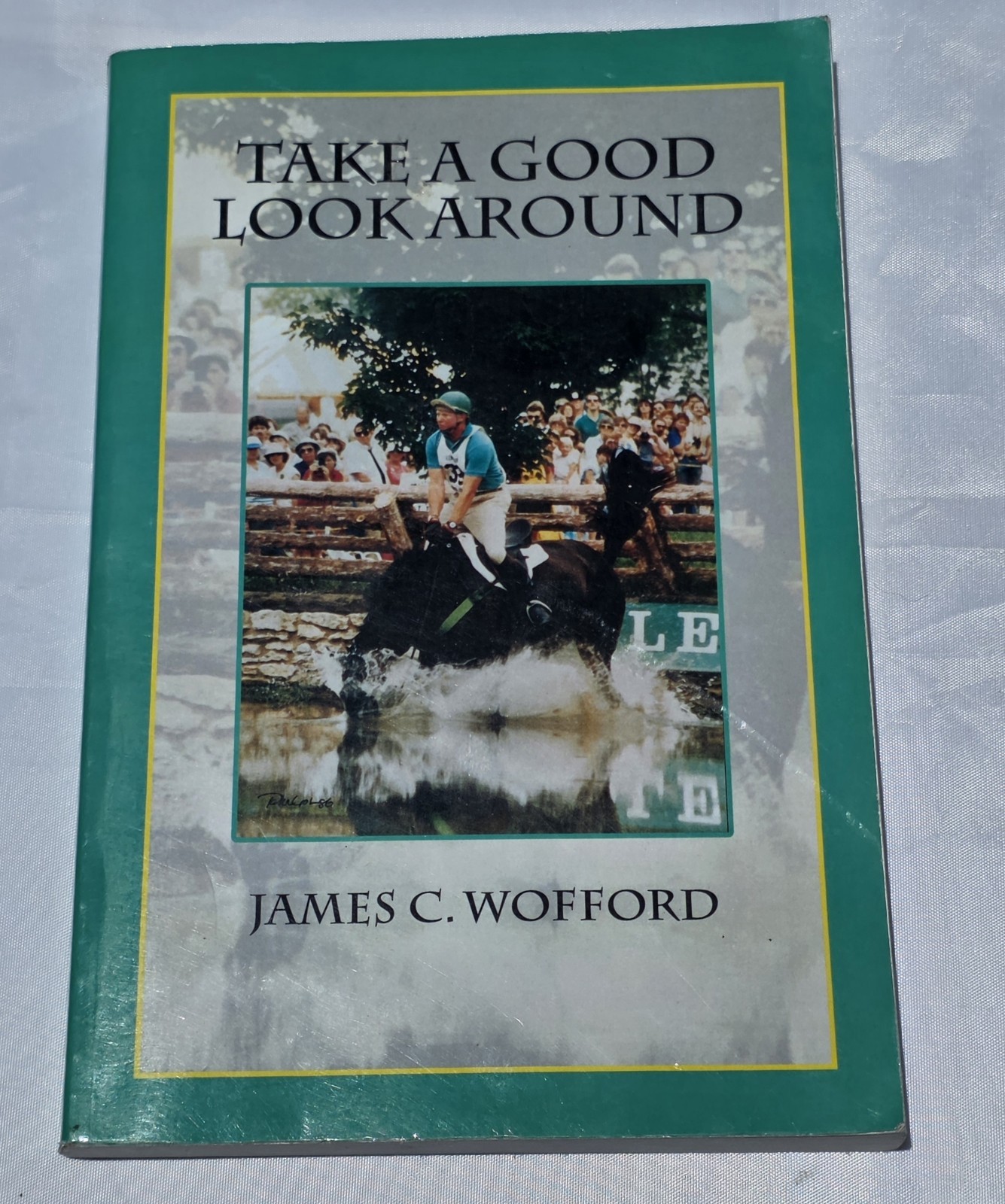 Take a Good Look Around by James C. Wofford