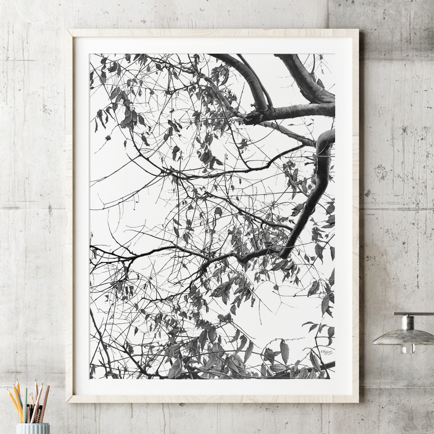 Large Original Pencil Drawing: Photorealistic Tree Branches, Botanical Art
