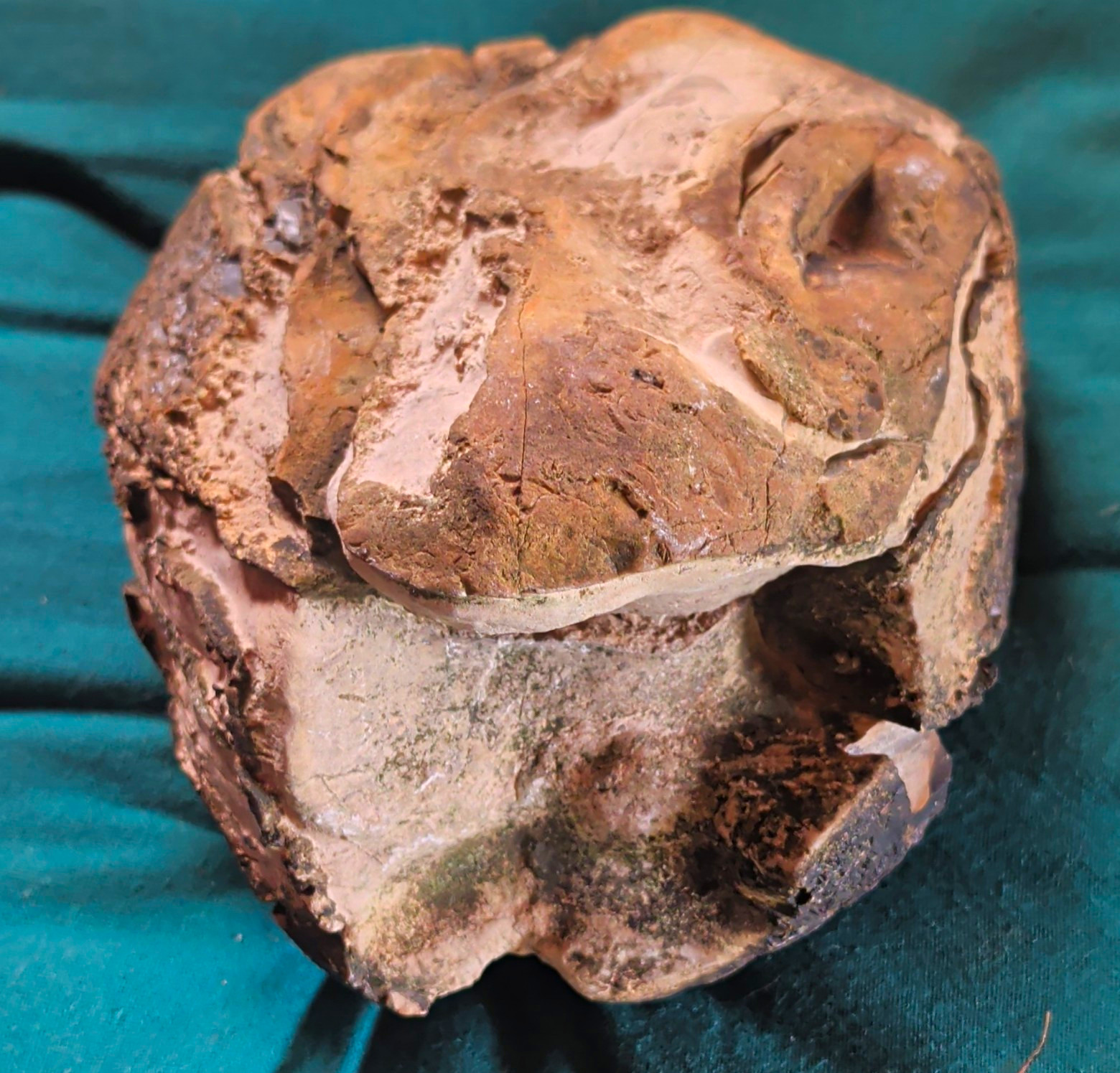 Absolutely Exquisite Ancient Effigy Artifact Stone. Head Effigy  Indigenous