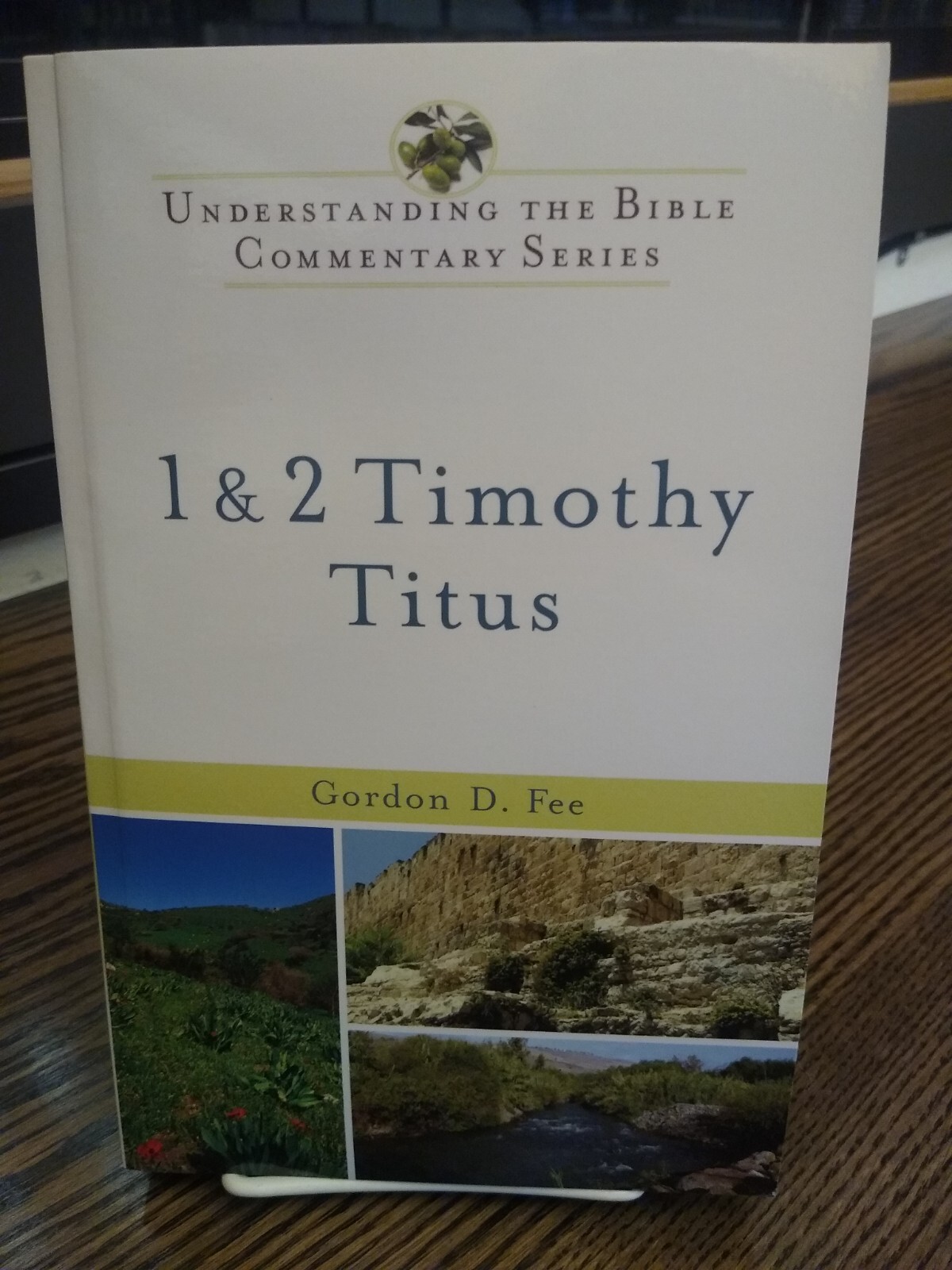 Understanding the Bible Commentary Ser.: 1 and 2 Timothy, Titus by Gordon D.... Understanding the Bible Commentary Ser.: 1 and 2 Timothy, Titus by Gordon D....