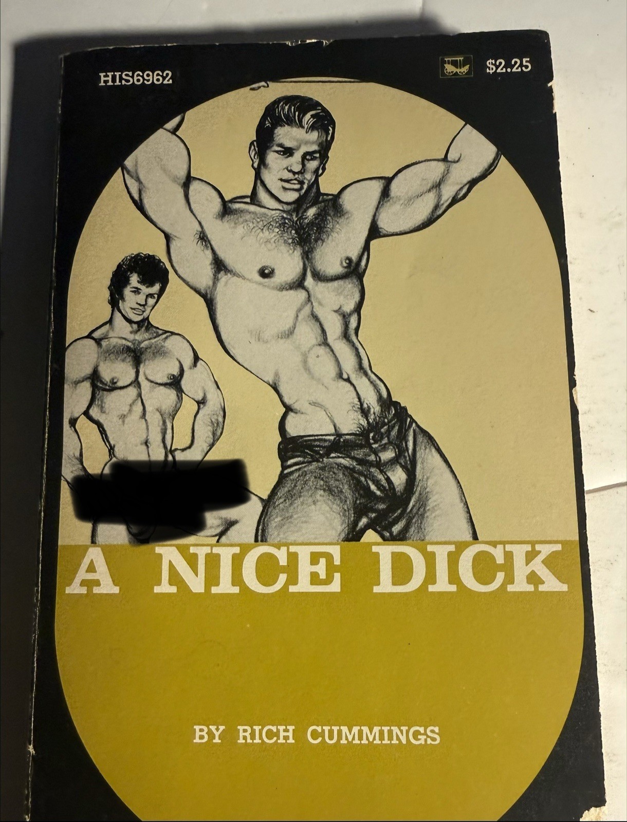 A NICE DECK - 1973 RICH CUMMINGS - SURREY HIS VINTAGE PULP NOVEL GAY INTEREST
