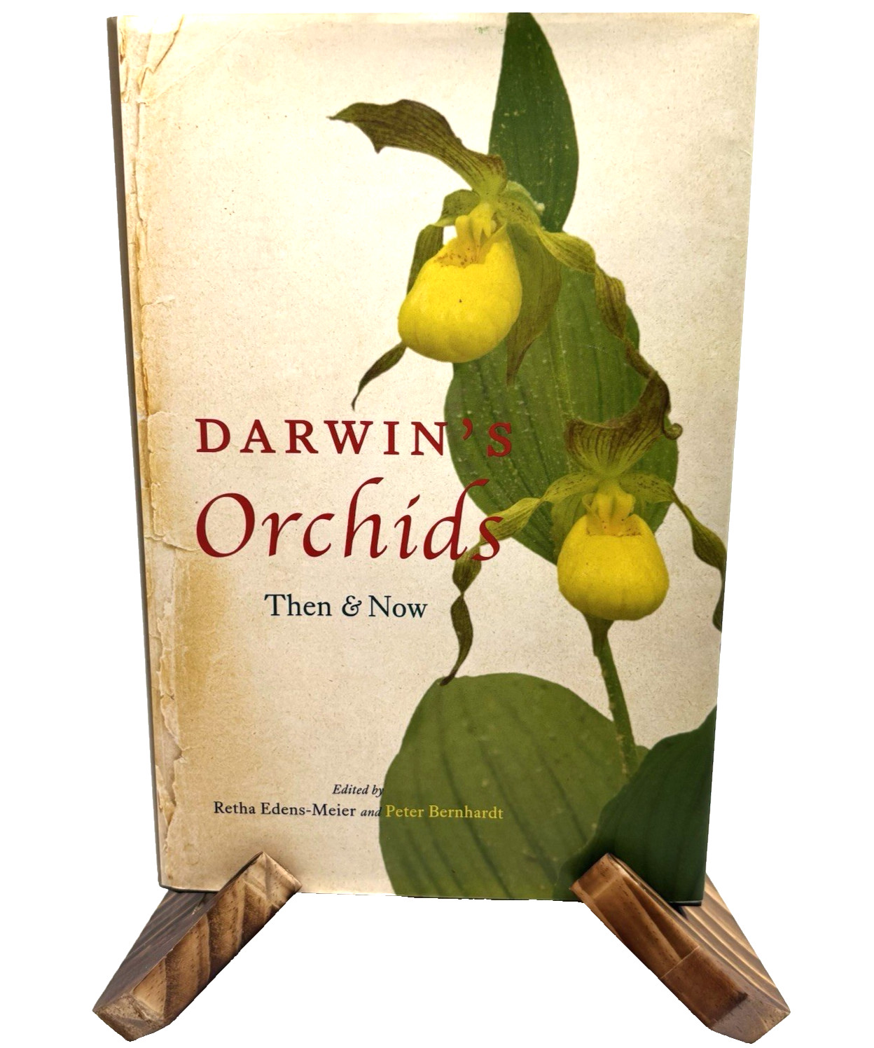 Darwin\'s Orchids: Then and Now by Retha Edens-Meier (English) Hardcover Book