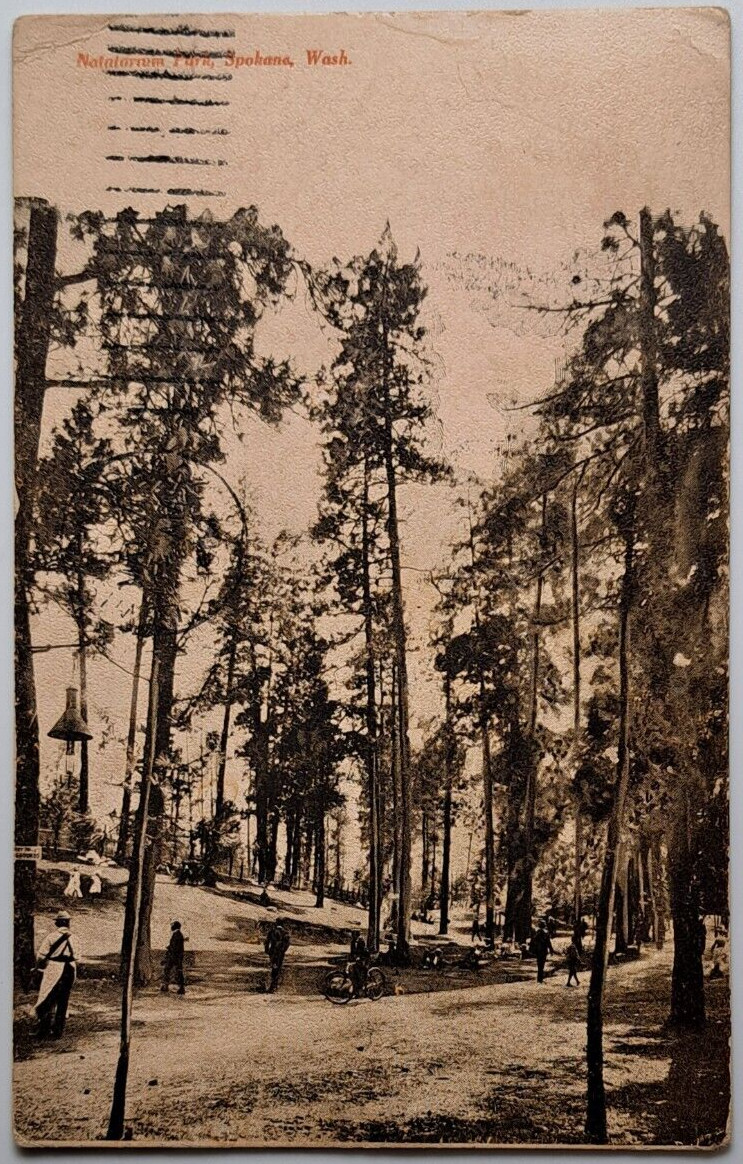 1908 Spokane WA Natatorium Park - Early View of Park with People & Trees
