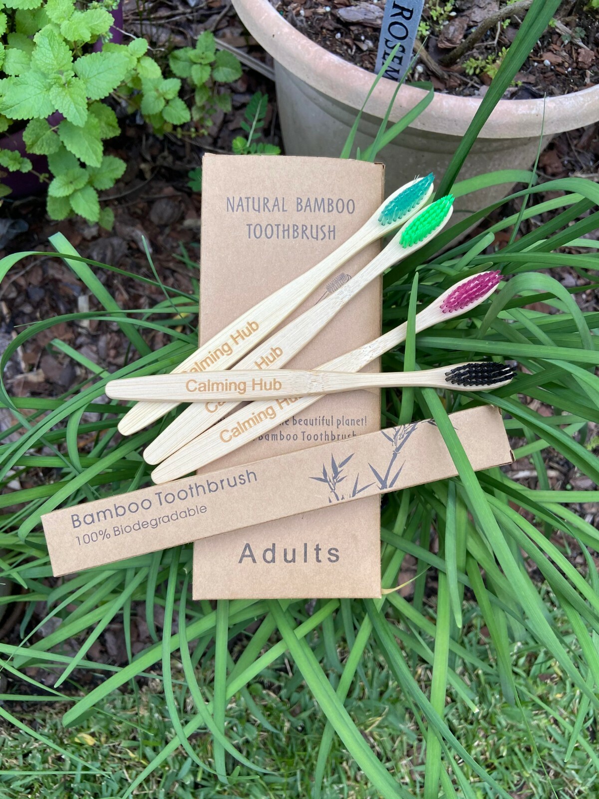 Natural Bamboo Toothbrush 100% Biodegradable (Single) Calming Hub Natural Bamboo Toothbrush 100% Biodegradable (Single) Calming Hub