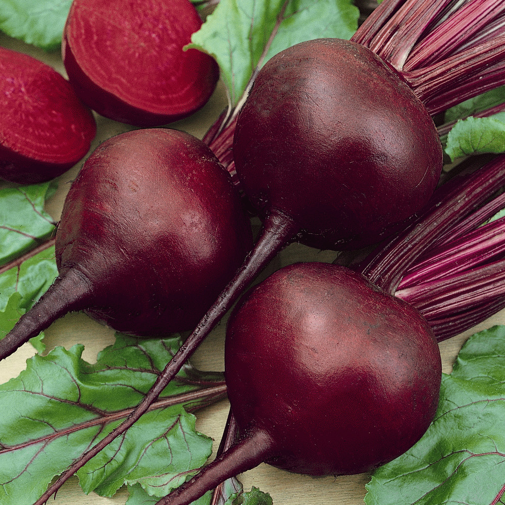200+  DETROIT DARK RED BEET SEEDS FRESH HARVEST FOR GARDENS