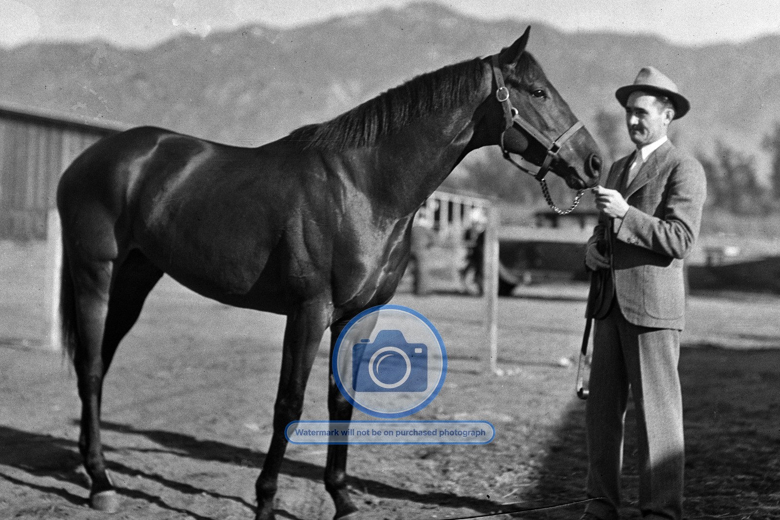 TOP ROW CHAMPION RACEHORSE OWNER A A BARONI 1930S RACING 4X6 POSTCARD PHOTO