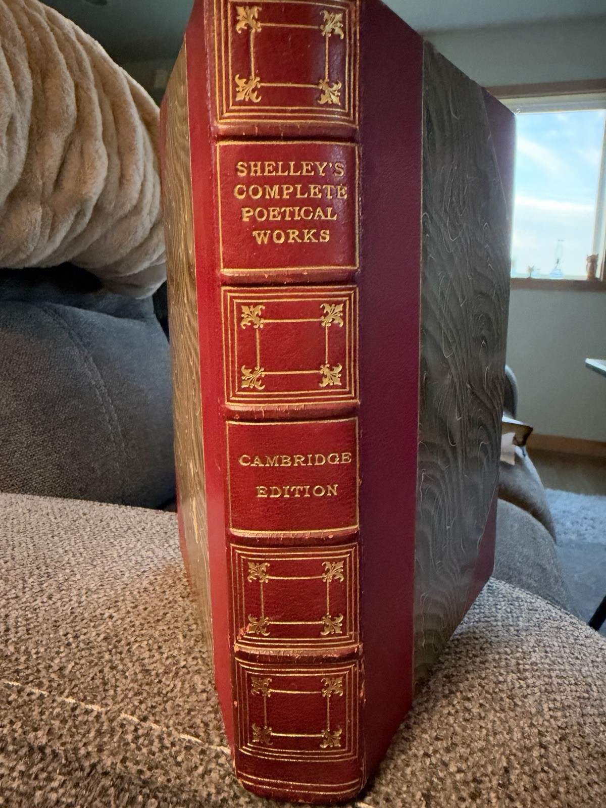 Shelley’s Complete Poetical Works, Cambridge Edition, 1901