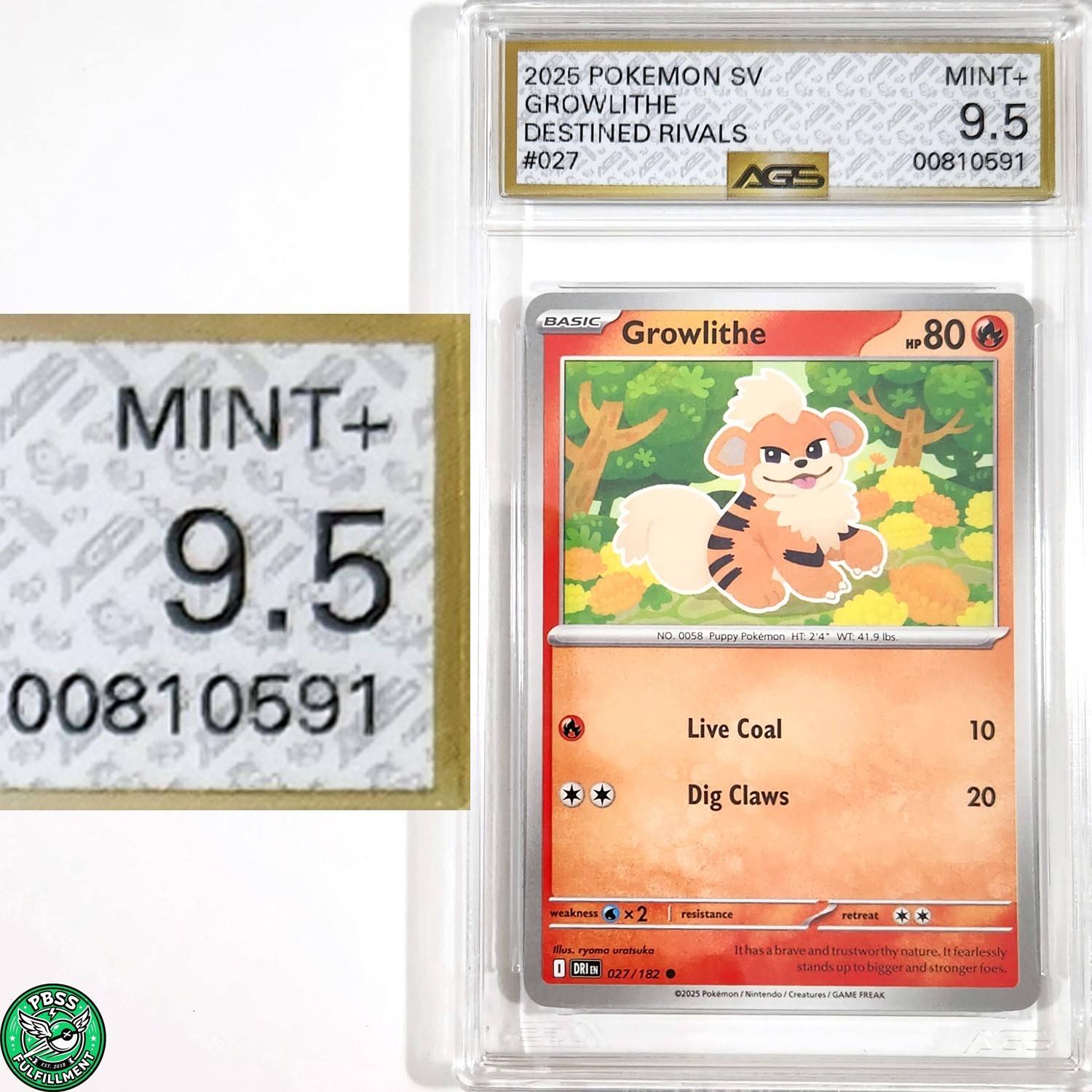 Pokemon TCG Growlithe 027/182 Non-Holo Destined Rivals AGS 9.5 MINT+