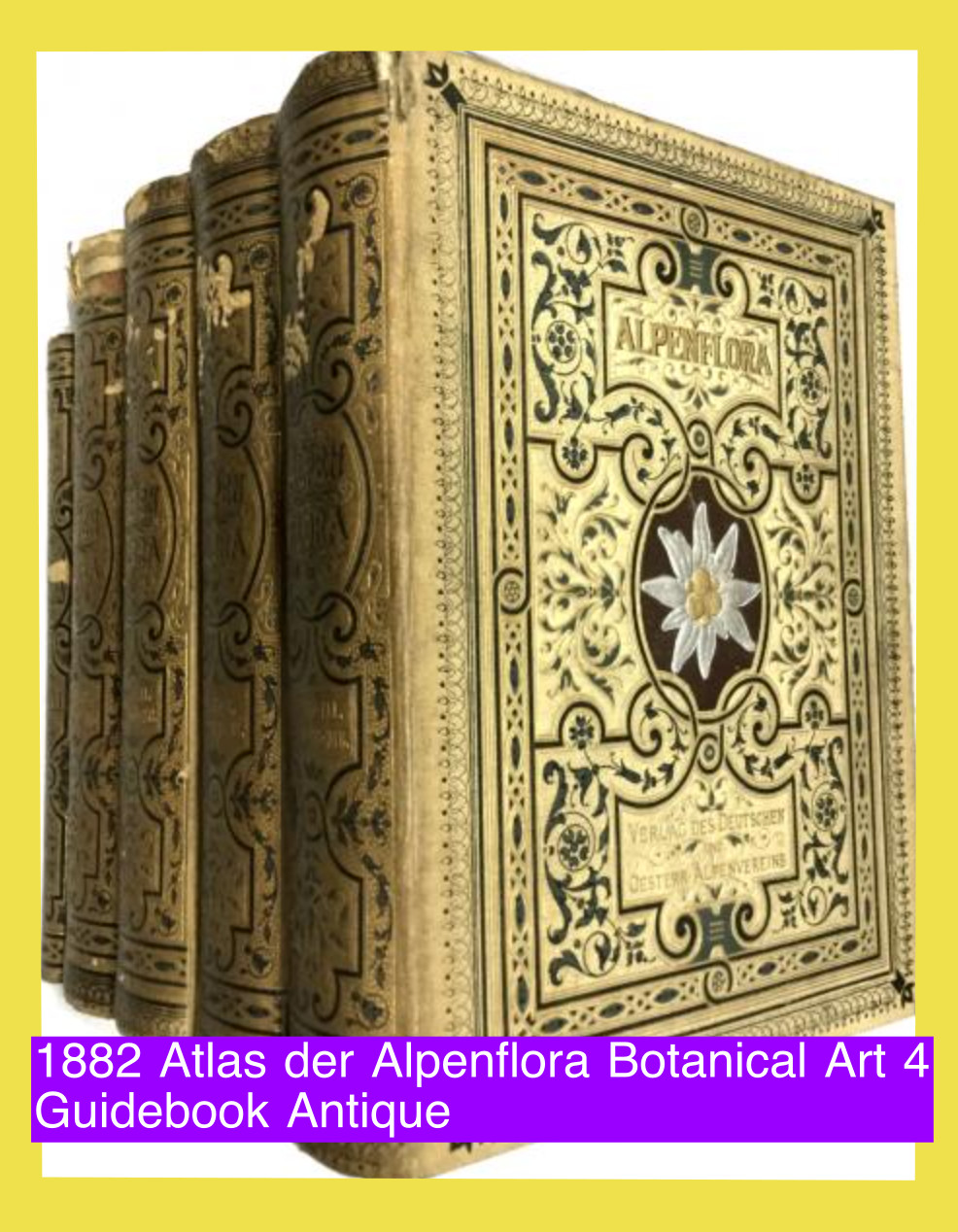 Rare 1882 Atlas der Alpenflora Botanical Art 4 Volumes + Guidebook Antique