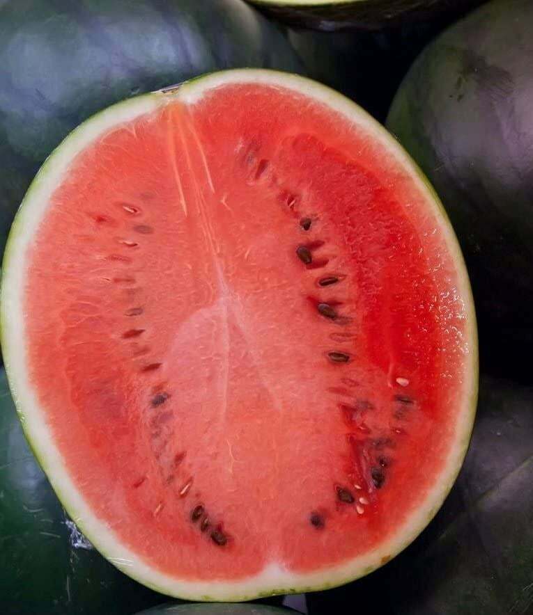Watermelon Seeds Collection, NON-GMO, 9 Varieties, Heirloom, 