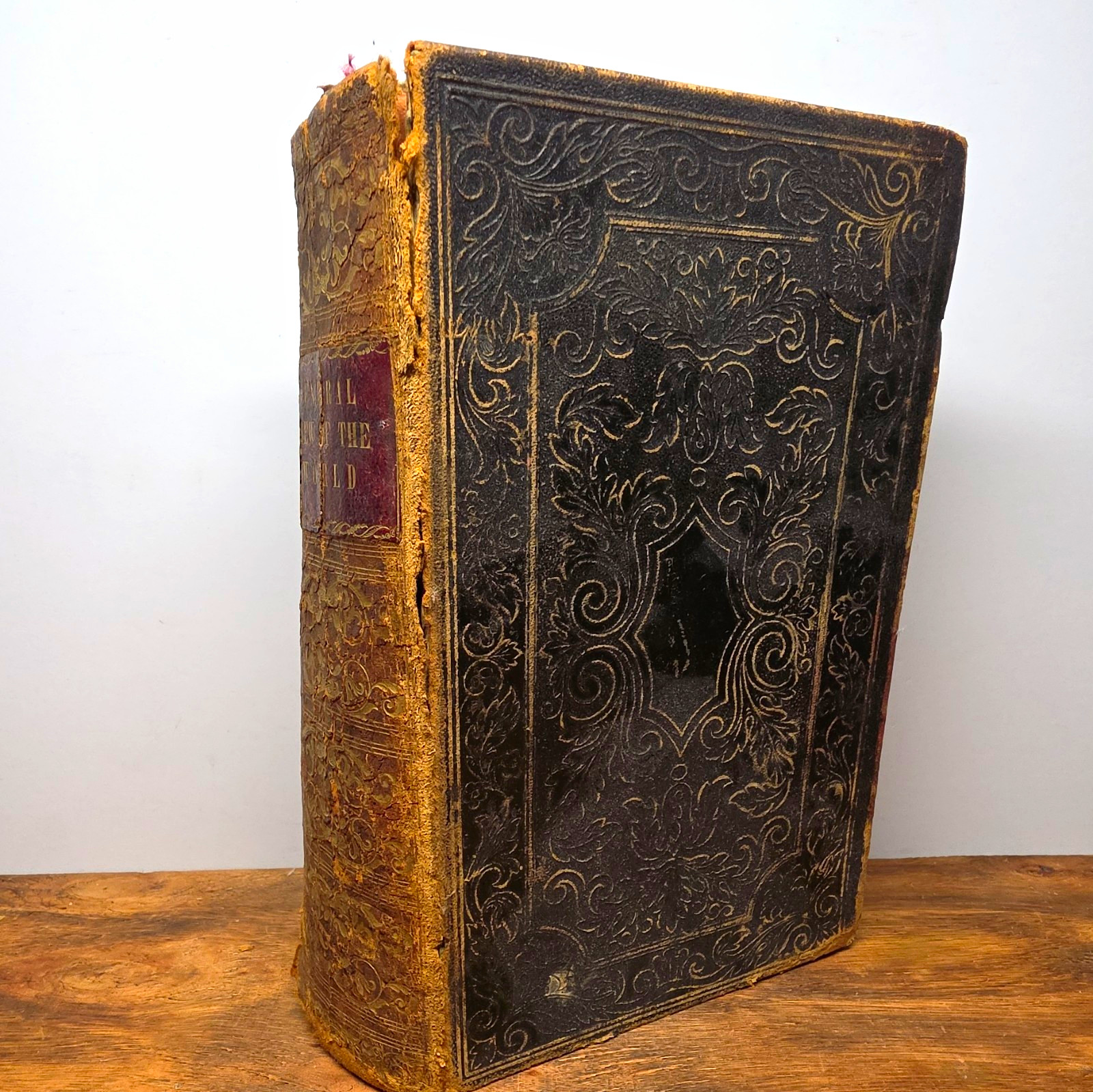 S. Augustus Mitchell A General View of the World 1847 Leather Illustrated