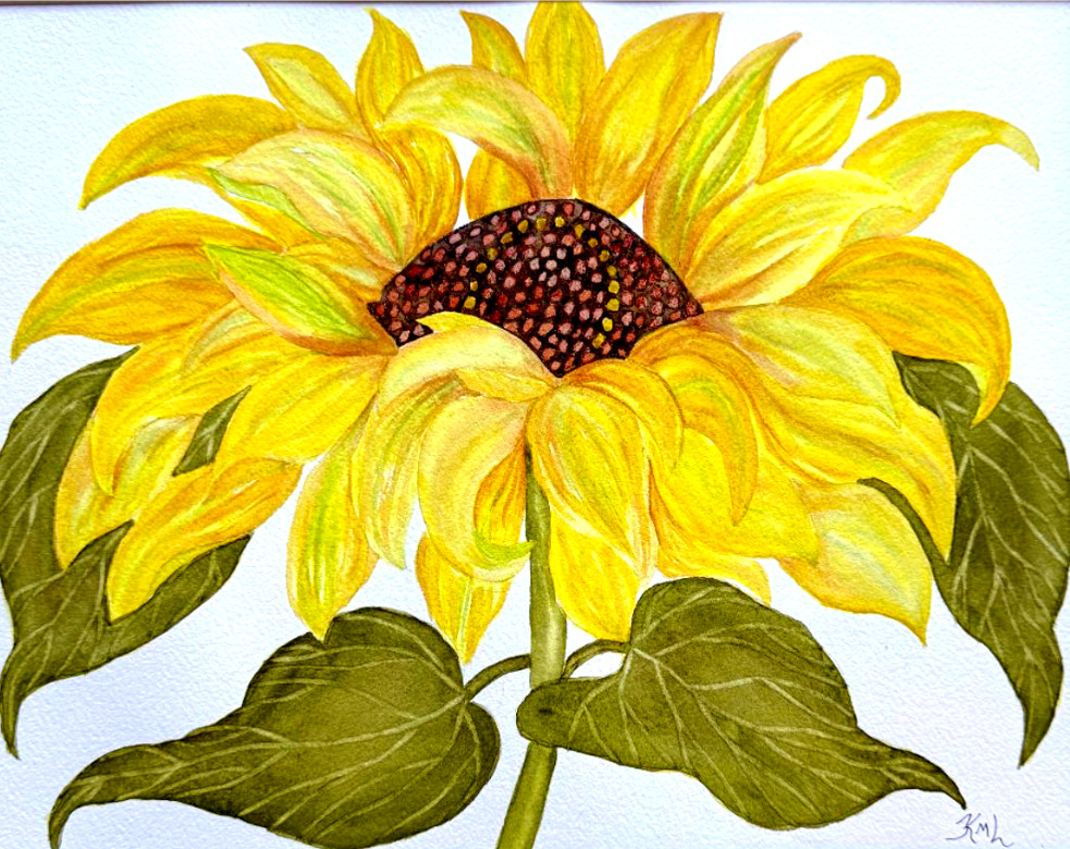 PAINTING WATERCOLOR ART FLOWER SUNFLOWER YELLOW BROWN 11X14 AND DOUBLE MAT 16X20 PAINTING WATERCOLOR ART FLOWER SUNFLOWER YELLOW BROWN 11X14 AND DOUBLE MAT 16X20