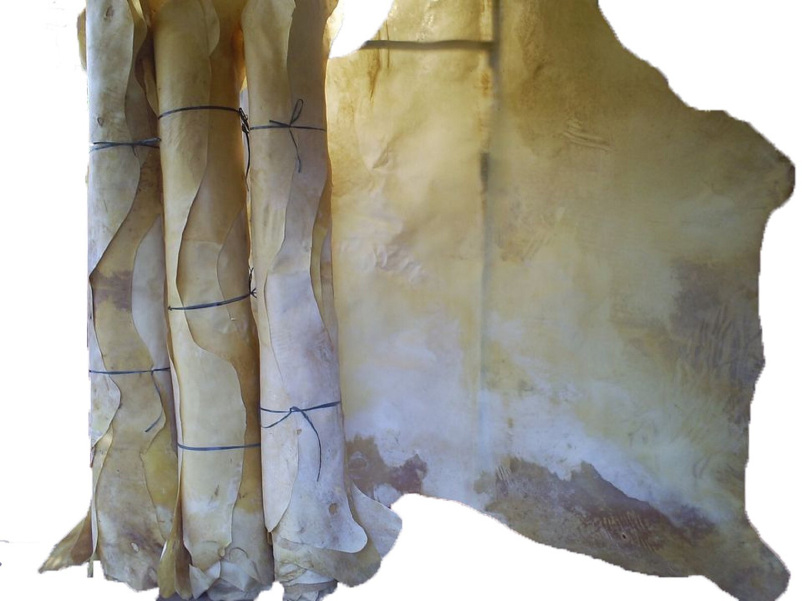 Horse Rawhide Skin, Raw Horsehide, Raw Horse Genuine Leather