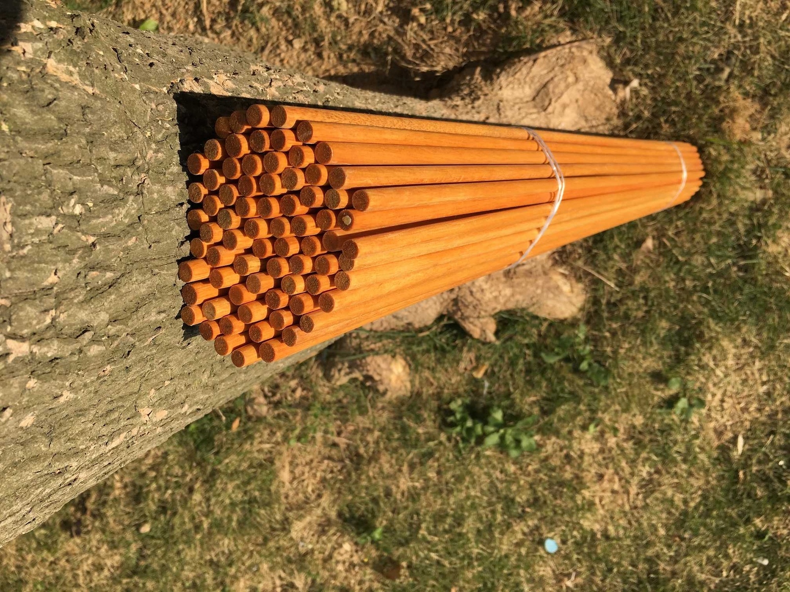 50pcs Outdoor Archery White Wood 5/16in dia8mm Shafts Traditional Wooden Arrow