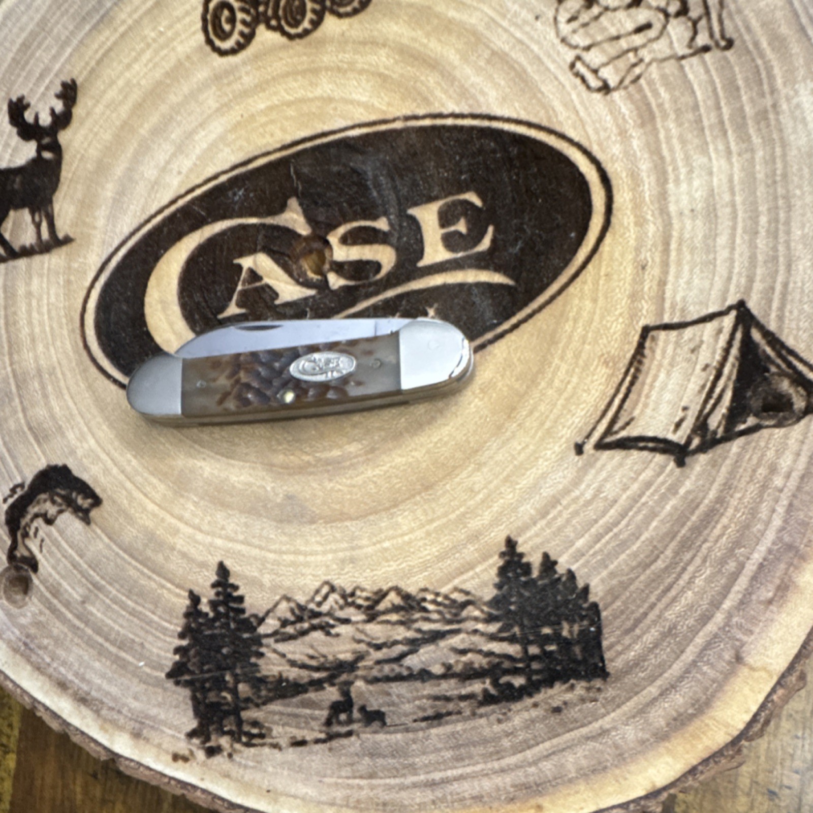 Case XX 62131 2-Blade SS Slipjoint Clip Point Plain Edge Bone Handle Case XX 62131 2-Blade SS Slipjoint Clip Point Plain Edge Bone Handle