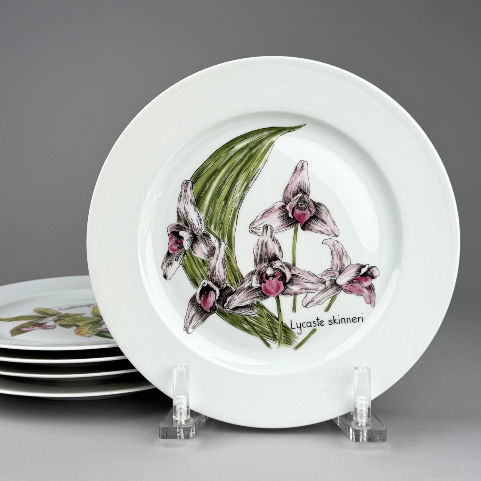 Set of 5 Bernardaud Limoges Histoires d\'Orchidées 8.5\