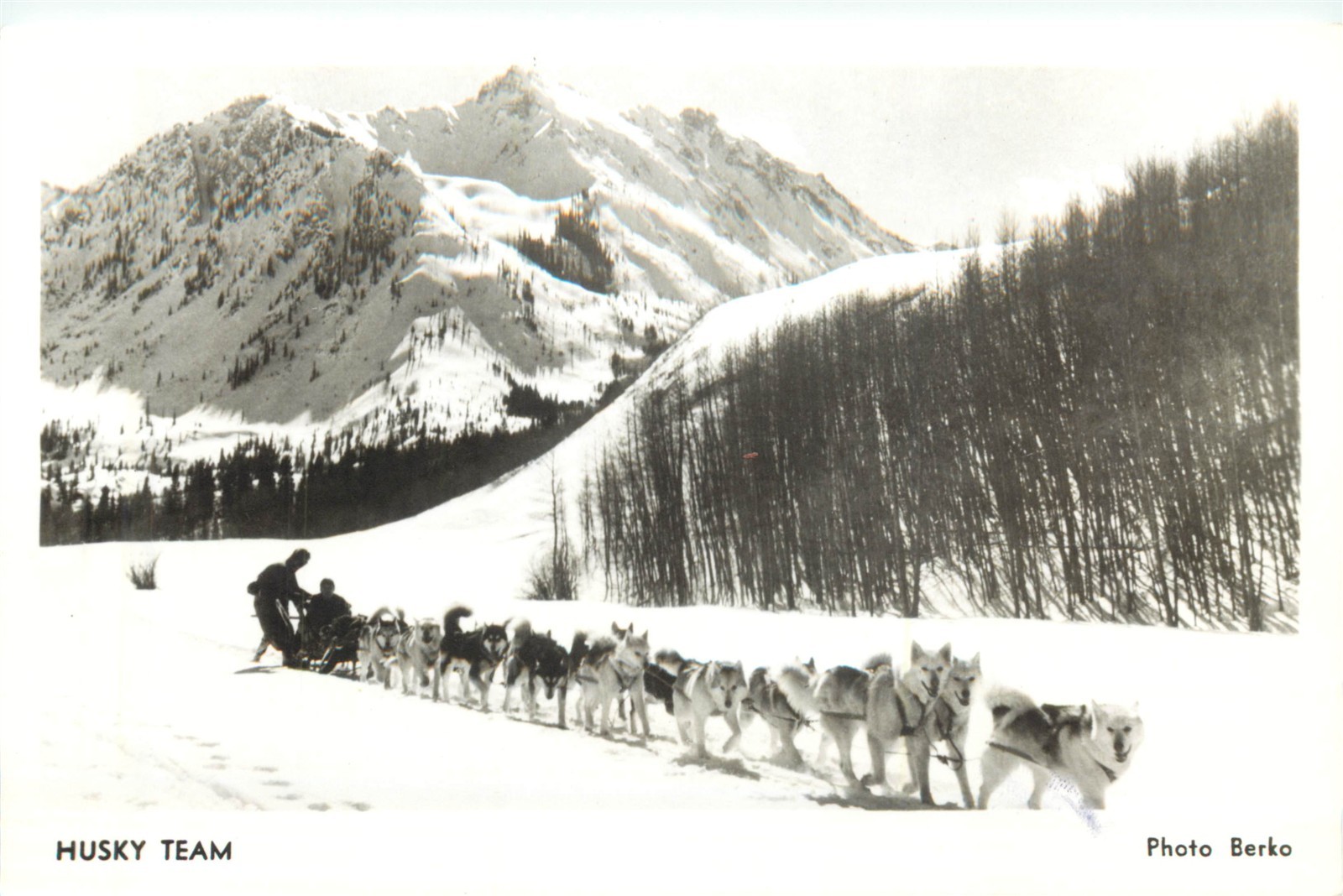 Dog Sled Team Toklat Lodge near Ashcroft CO RPPC ca 1960 Real Photo Postcard