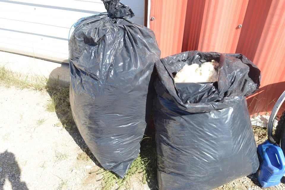40+ Lbs Sheeps Wool - Cedar City Utah 40+ Lbs Sheeps Wool - Cedar City Utah
