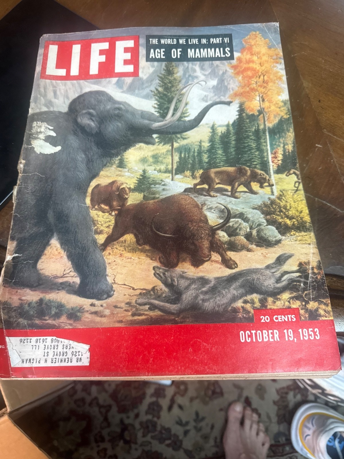 Life magazine, October 19, 1953 age of a mammals good condition Life magazine, October 19, 1953 age of a mammals good condition