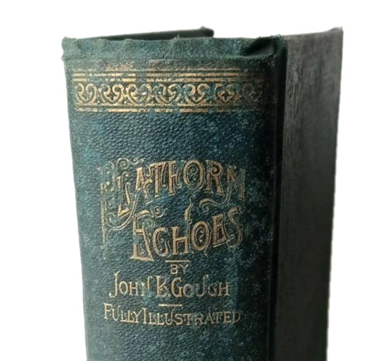Platform Echoes by John B. Gough 1887 A.D. Worthington 225 Illustrations Vintage