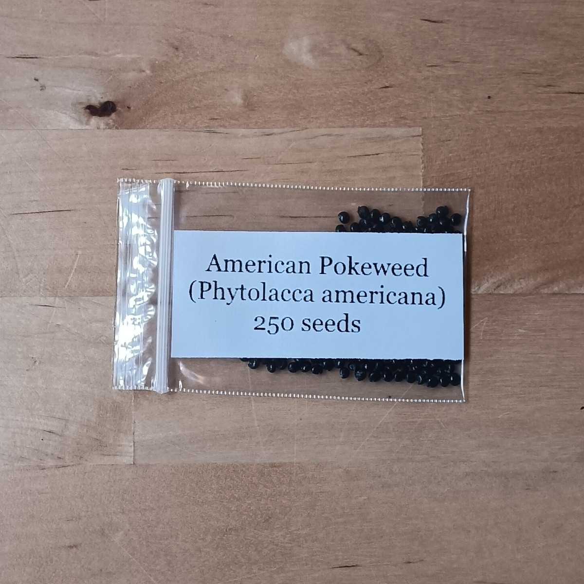 Pokeweed Seed  (Phytolacca americana) ~  100 to 100,000 seeds ~ bulk poke seed