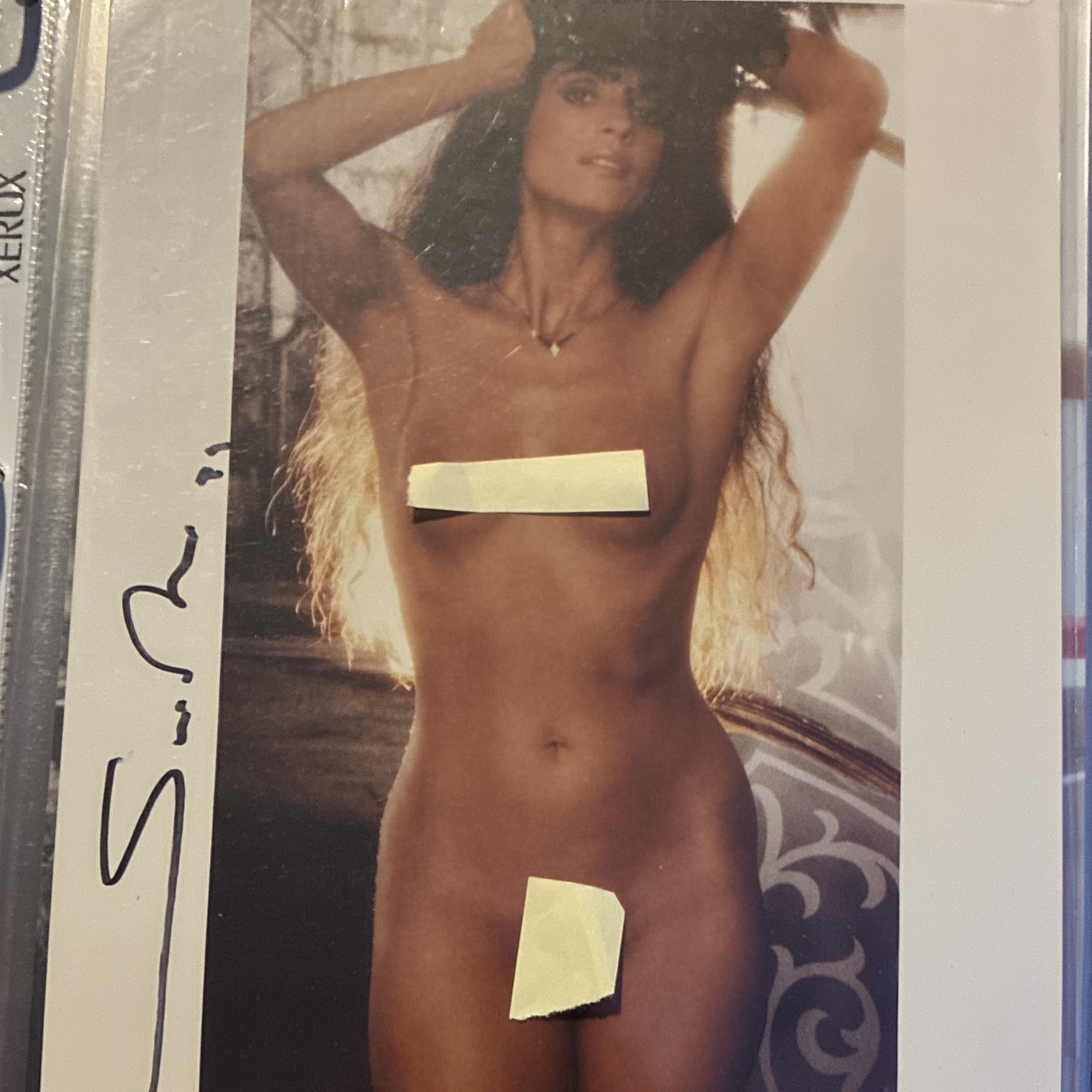 Sonia Braga Autographed Signed Glossy Vintage Photo