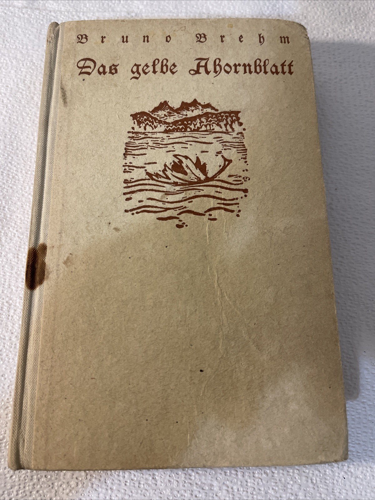 Das Gelbe Ahornblatt Antique German Book Das Gelbe Ahornblatt Antique German Book