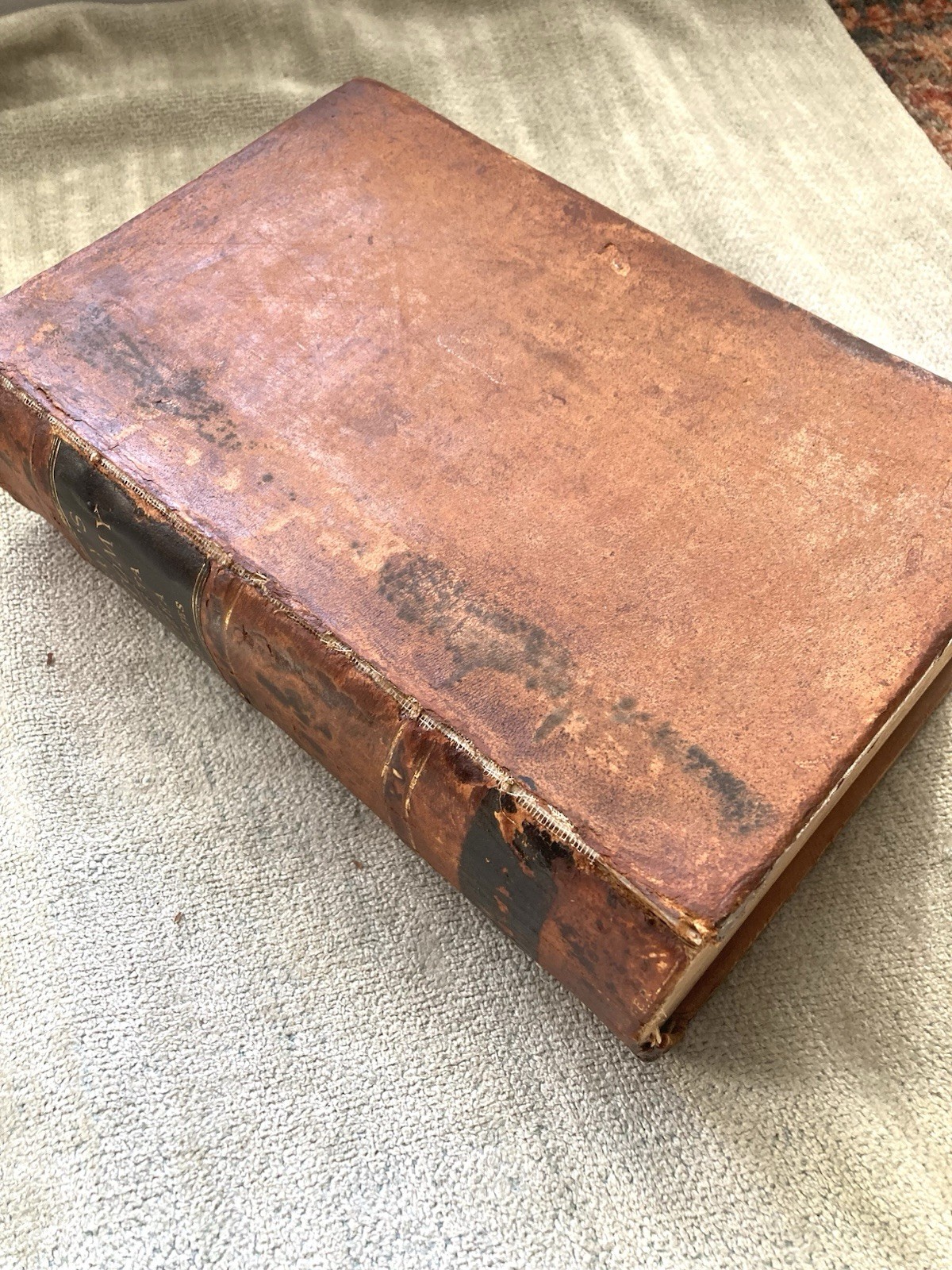 Gray’s Anatomy, Descriptive And Surgical, Da Costa, Spitzka, 1908, 1,100+ Illus.
