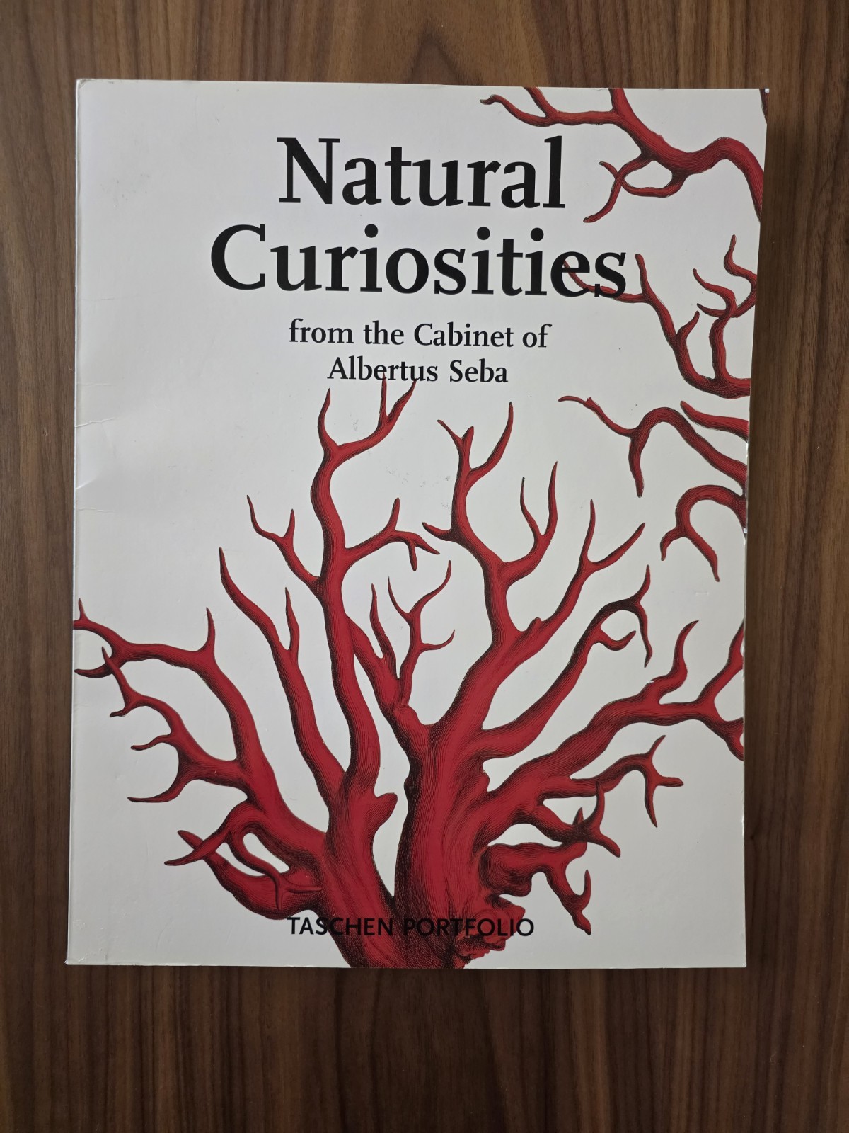 Albertus Seba Natural Curiosities TASCHEN Portfolio 14 Art Prints Complete