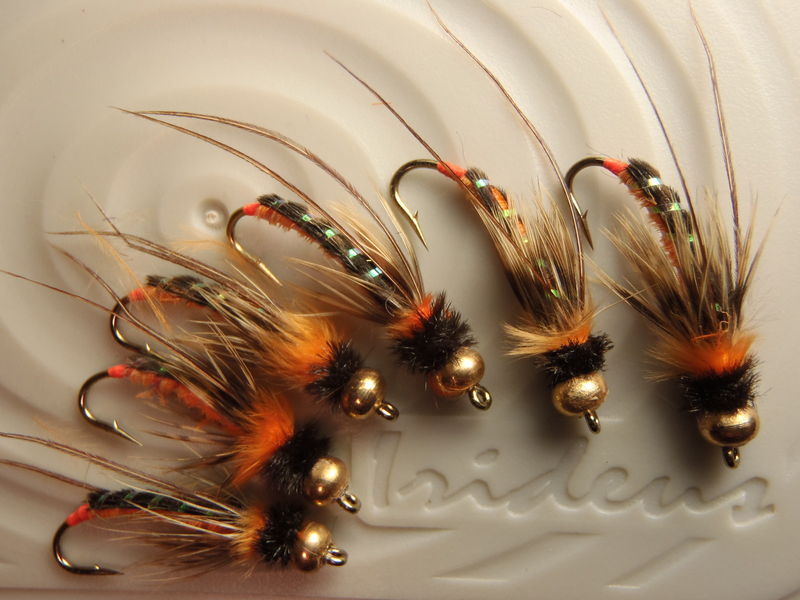 Irideus Timothy\'s  Orange Caddis Fall Steelhead Caddis Trout Fly Fishing Flies 