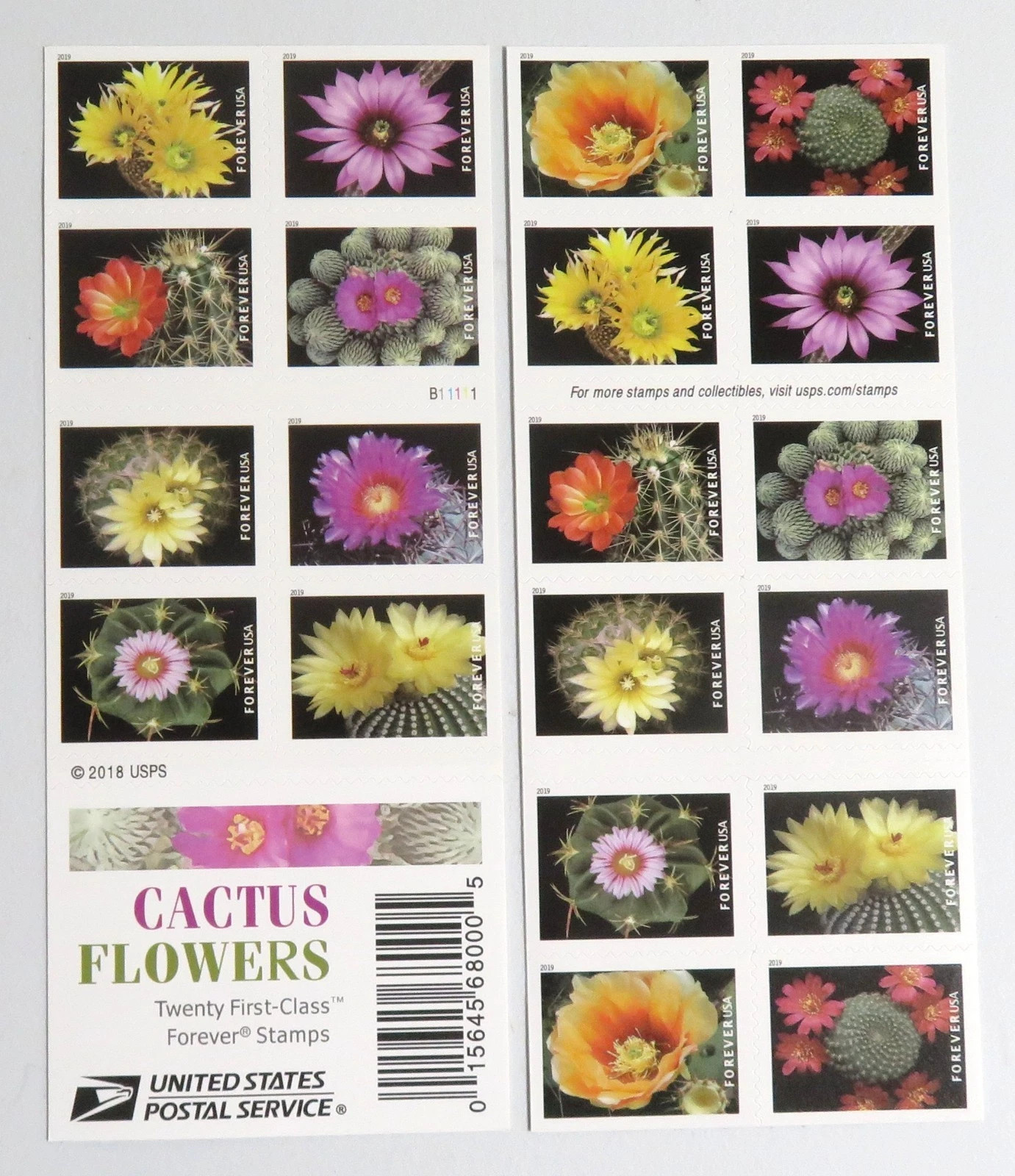 2019 USPS Cactus Flowers Stamps MNH Scott 5350-5359 5 sheets of 100 Count 2019 USPS Cactus Flowers Stamps MNH Scott 5350-5359 5 sheets of 100 Count