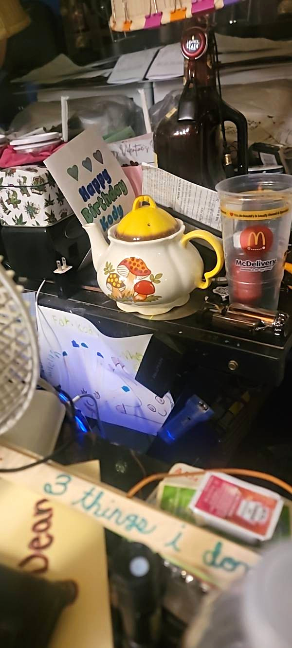 Vintage Sears Merry Mushroom Tea Pot 1979 With Lid.