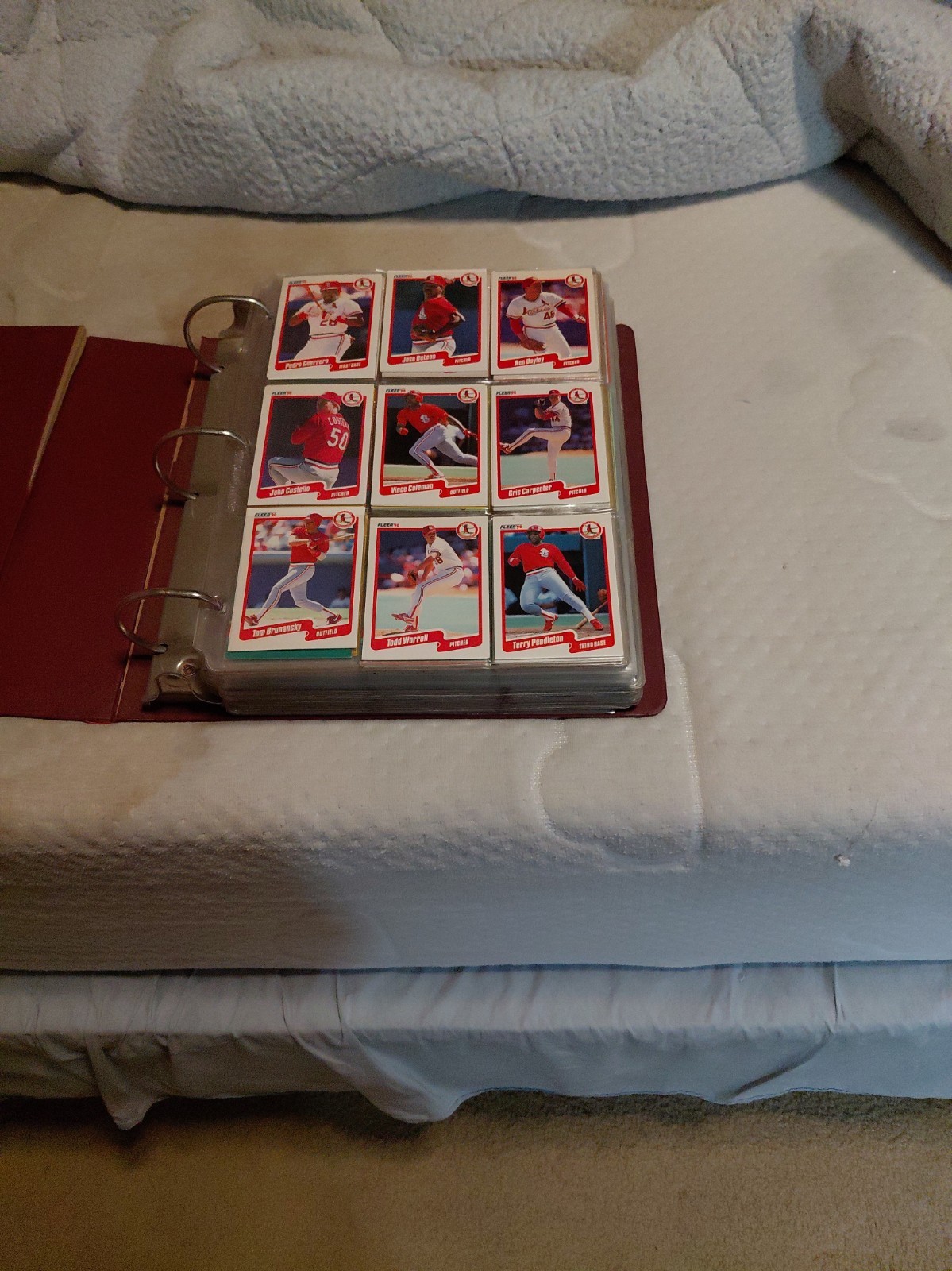 sports card lot huge